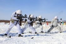 Финны проверят российскую мотострелковую бригаду