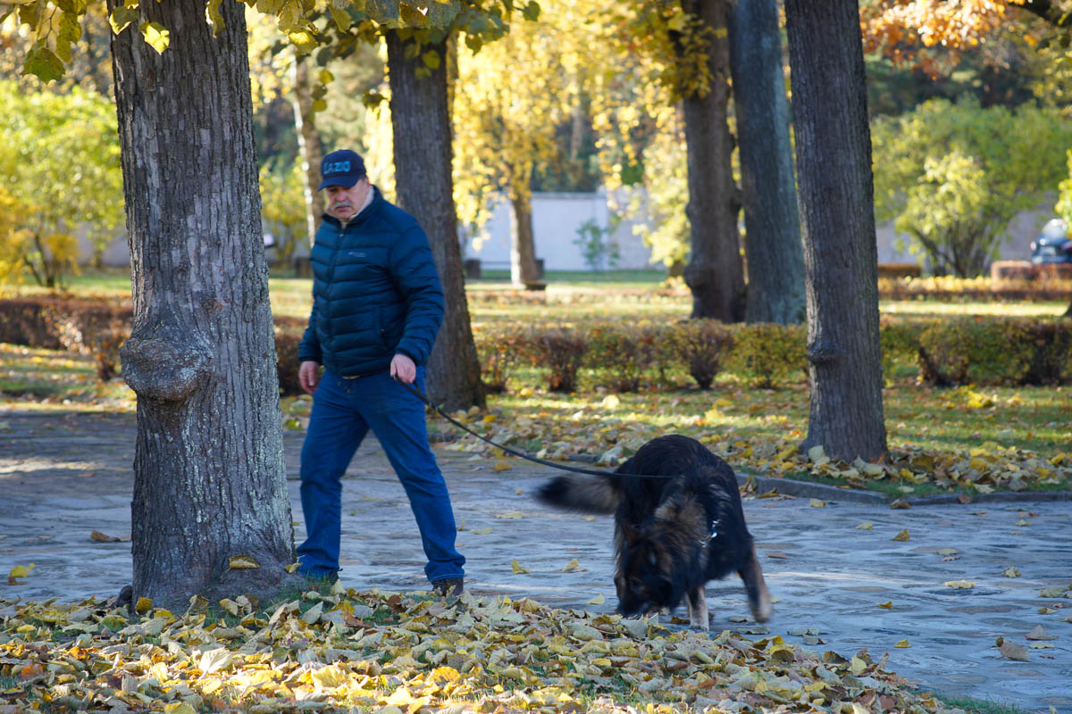 Братское кладбище — 100 лет