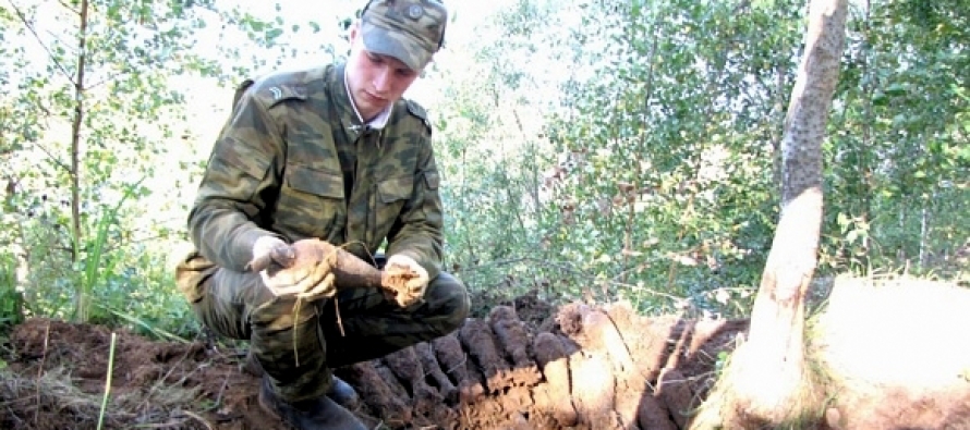 Подведены итоги 21-го поискового периода