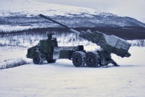 Хороший день для шведского артиллерийского полка