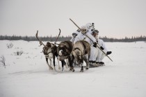 Занятия арктических мотострелков