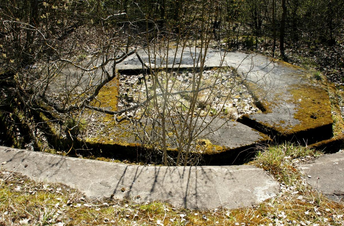 Экскурсия на Мангальсалу