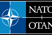 Партнерство ради мира. НАТО — Беларусь
