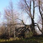 rsz_dsc08825