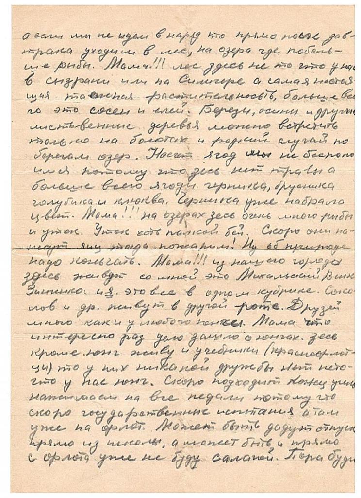 Последний юнга Северного флота