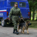 kurgan_118