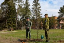 Дуб дружбы на эстонской авиабазе