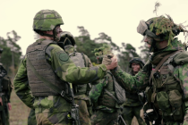 Военная взаимопомощь Швеции и Финляндии